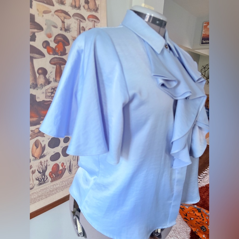 Zara Light Blue Ruffle Blouse - Picture 4 of 7